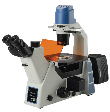 خرید میکروسکوپ معکوس بیولوژیکی FL Inverse | قیمت روز 2025 و کیفیت اپتیکی برتر
